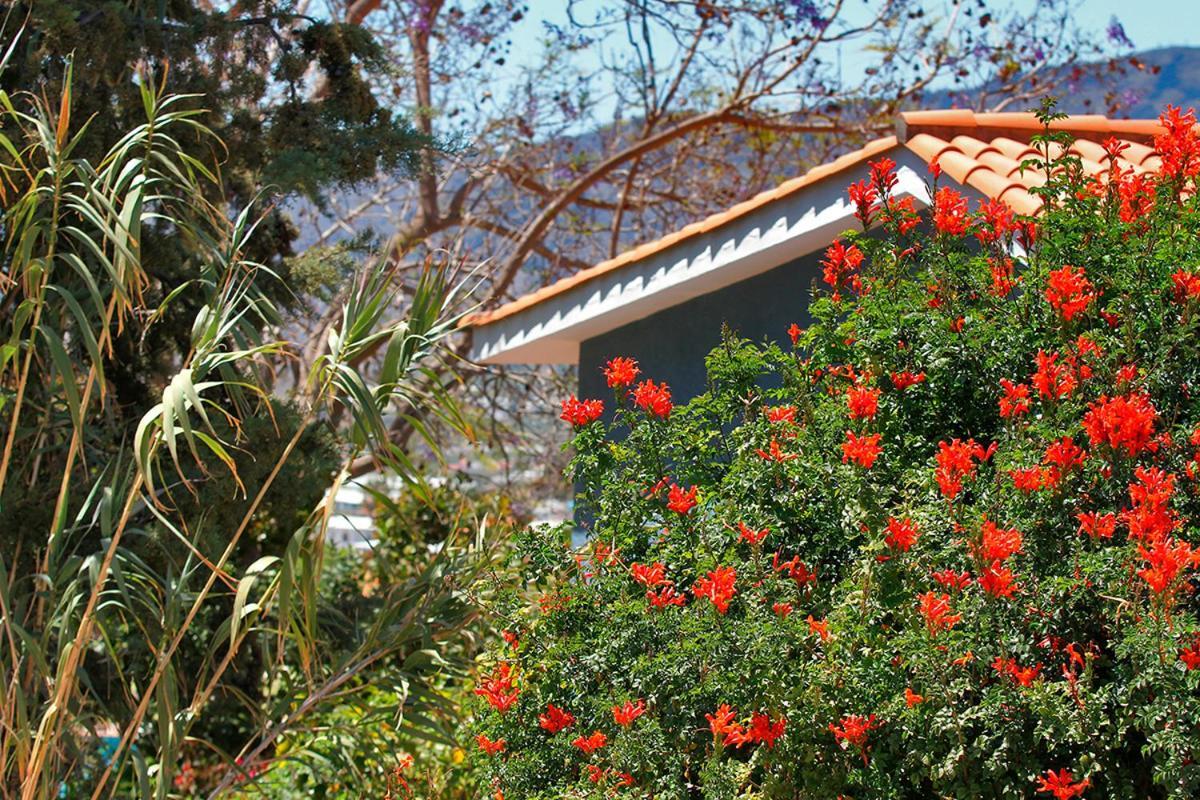Casa Esther El Paso Εξωτερικό φωτογραφία